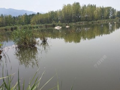 路亚在野河沟钓鱼（探索野河沟的路亚钓鱼技巧，享受钓鱼的乐趣与挑战）