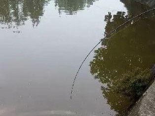 炎炎夏日，野钓妙招大揭秘！（以天太热路亚不开口怎么钓鱼？快来了解这些高效技巧吧！）