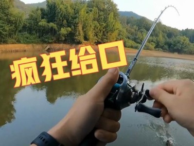 夜钓达人教你连竿钓鱼的秘籍（以路亚为主的连竿夜钓技巧，钓鱼好帮手）