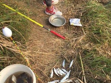 探索路亚钓法的不挂底技巧（提升钓鱼技巧，享受路亚钓法带来的乐趣）