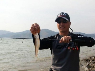 探讨路亚钓法（挖掘路亚钓法的魅力与优势，体验纯粹快乐的钓鱼之旅）