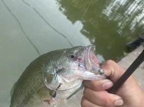钓鱼新趣味（自己动手，路亚钓鱼乐趣无穷）