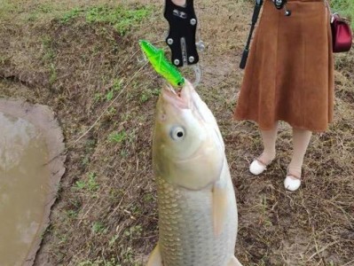 探究以路亚钓鱼调整钓鱼深度的方法（如何确定最佳调整深度，提升钓鱼成功率）