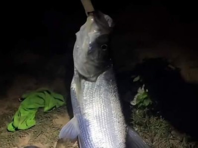 探究路亚钓鱼的最佳放置时间（揭秘路亚放置时间的关键因素及技巧）