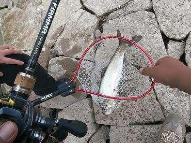 水库钓鱼的路亚技巧及心得（挑选适合的路亚饵料，让你的钓鱼之旅更加精彩）