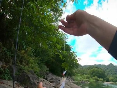 探秘钓鱼中的路亚技巧（深入了解路亚钓法的起源、技巧和适用场景）