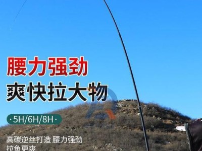 路亚黑坑钓鱼技巧大揭秘（掌握这几点，让你的钓鱼更加合适）