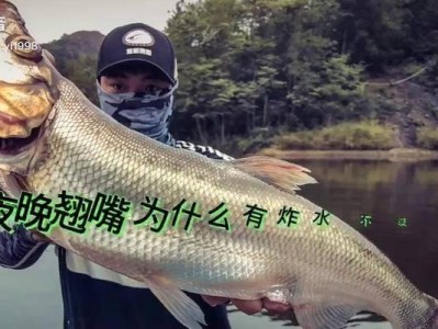 从新手到钓鱼高手（用心感悟，钓出快乐人生）