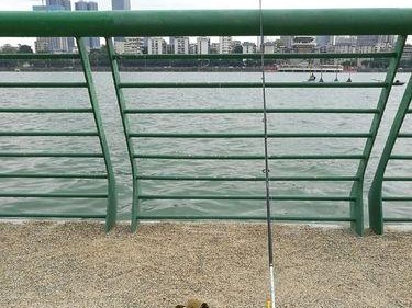 如何选择适合钓鱼塘的米路亚竿？（钓鱼塘选择米路亚竿的关键要素和技巧）