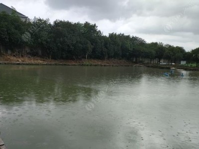 临安路亚黑坑钓鱼场地的鱼情与技巧（挑战临安路亚黑坑钓鱼场地，享受独特的钓鱼体验）