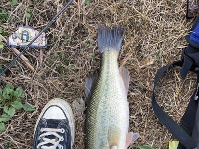 给钓鱼爱好者的男友送路亚，让他热爱垂钓更上一层楼（打造完美礼物——让他的钓鱼之旅更加精彩）