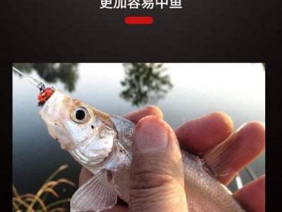以路亚钓鱼是否需要使用饵料？（探究以路亚钓鱼是否需要使用饵料的必要性及影响因素）