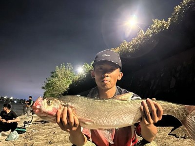 以路亚竿在坑里钓鱼的技巧与经验分享（探索坑里钓鱼的新方式，以路亚竿轻松钓获大鱼）