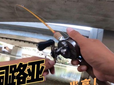 如何解决在桥洞钓鱼太暗的问题？（提高路亚钓鱼成功率的关键技巧）