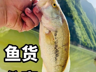 以路亚鱼饵超大多少克好钓鱼？（探讨鱼饵大小对钓鱼效果的影响）