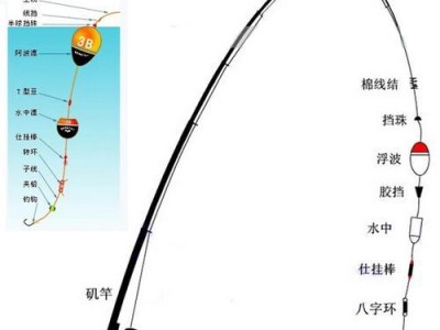 以路亚杆能否装浮漂钓鱼的探讨（探究以路亚杆装浮漂钓鱼的实用性及优缺点）