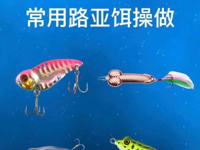 路亚钓法在海边的适用性剖析（探讨路亚钓法在海边的优势、挑战与技巧）
