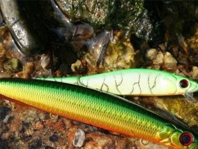 河流钓鱼的最佳路亚饵料选择（挑选合适饵料的关键要素及效果展示）