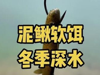 探讨以路亚钓鱼用泥鳅的最佳窝打技巧（提升成功率的关键是找准鱼群的活动范围和营造适宜的环境）