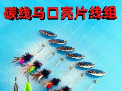 革新传统钓法，瓜子亮片也能钓鱼（挑战路亚竿，瓜子亮片的钓鱼妙用）