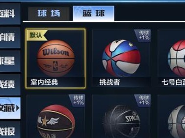 NBA历史上最强盖帽手的排行榜（探索篮球界的最佳防守者，他们的盖帽数创造了传奇）