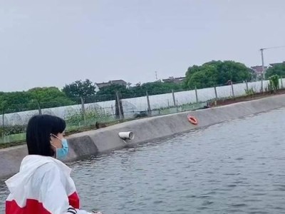 拿路亚竿去小河边钓鱼的乐趣（挥洒心情，畅享自然——路亚钓鱼的新时尚）