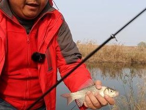 探寻最佳路亚钓鱼时间（玩转路亚，抓住最佳时机）