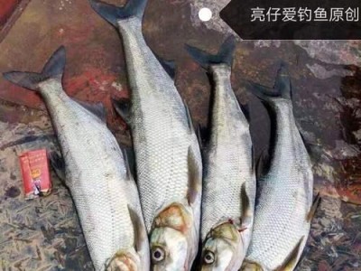 路亚竿也适合浮钓鱼吗？（揭秘路亚竿在浮钓中的应用及技巧）