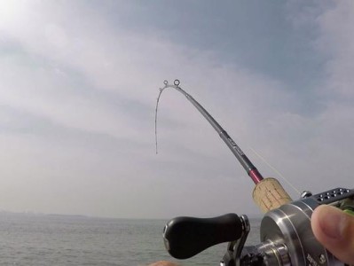 黄浦江适合路亚钓鱼的理由及技巧（发掘黄浦江路亚钓鱼的魅力，快来体验畅爽钓鱼之旅！）