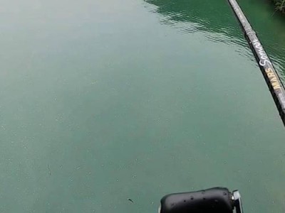 掌握路亚钓鱼的水深度调节技巧（如何根据不同情况调整水深来提升路亚钓鱼效果）