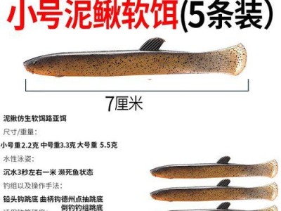 探秘路亚钓鱼坠饵的配饵技巧（提高钓鱼成功率的关键）
