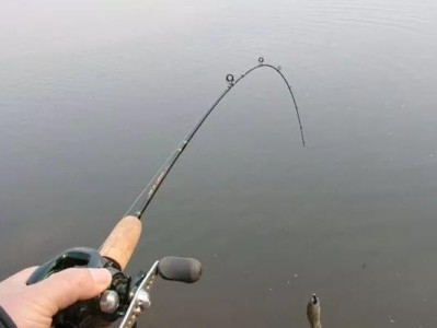 清水钓鱼的最佳选择——路亚杆的优势（清水中使用路亚杆的技巧与心得分享）