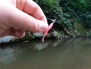 路亚挂玉米钓鱼的有效性及技巧（用路亚钓鱼是否可以通过挂上玉米来提高成功率？）