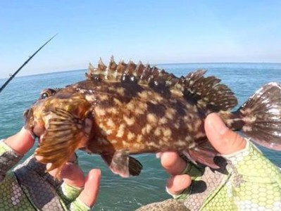 路亚钓海鱼，好钓还是不好钓？（探索海钓乐趣，寻找最佳路亚技巧）