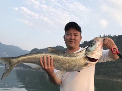 以沱江那稀段的路亚钓鱼之旅（探索沱江那稀段的丰富鱼类资源，展开刺激又有趣的路亚钓鱼之旅）