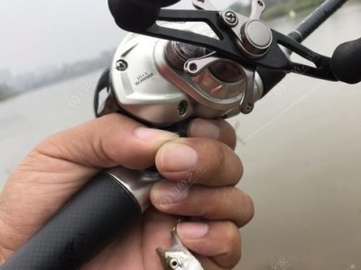 路亚钓鱼必备装备及准备事项（为路亚钓鱼做好充分准备，提高钓鱼效果）