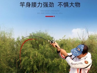 掌握以路亚杆钓鱼的基础动作（提升钓鱼技术，成为高手）