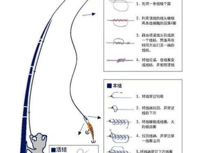 探讨以路亚竿用几号主线好钓鱼（为您揭示最佳钓鱼主线规格及其原因）