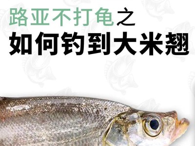 选择适合的野钓路亚竿长度，钓鱼更得心应手（提升钓鱼技术，选择合适的野钓路亚竿长度）