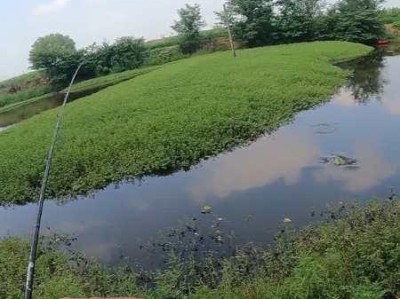 路亚鱼塘打氧，助你轻松垂钓丰收（打造理想环境，路亚钓鱼的秘密揭示）