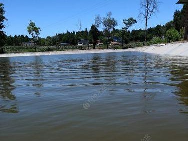浏阳河路亚钓鱼最佳地点（探索浏阳河沿岸，发现理想钓点）