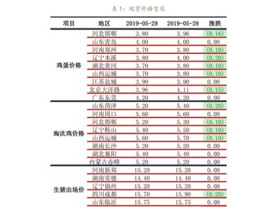 2019年世界杯历史成绩