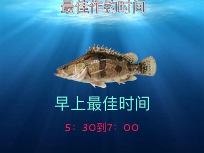 2022年抖鱼路亚比赛结果揭晓（探寻优胜秘诀，技巧与策略一网打尽）