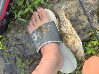 捡到路亚竿，开启神秘钓鱼之旅（一起探寻路亚竿背后的钓鱼乐趣）