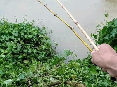 用竹竿做路亚竿钓鱼的全过程（手工打造竹竿，享受路亚钓鱼的乐趣）