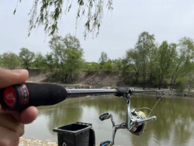 路亚竿在滑漂钓鱼中的应用（挑战传统，路亚竿成为滑漂钓鱼的新宠）