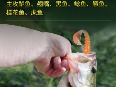 软虫路亚竿钓鱼技巧（掌握关键诀窍成为路亚高手）