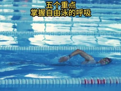 学习游泳的关键技巧（掌握游泳技巧的必要条件）