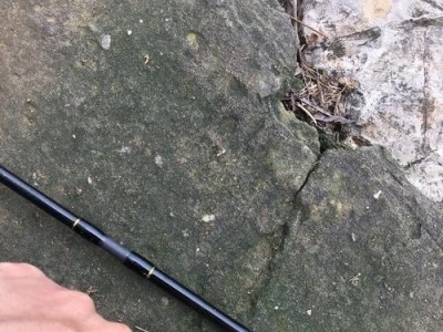 钓鱼爱好者必读（科学选择装备，技巧指南教你轻松应对困扰）