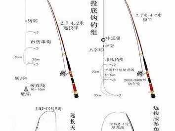 探索新手钓鱼路亚串钩的最佳选择（选择正确的几号，让你钓鱼更加得心应手）